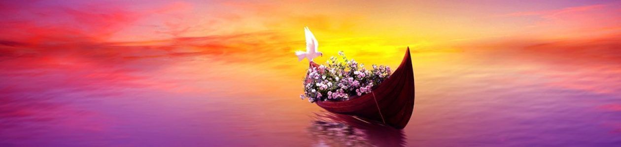 EL ADIVINO DE SUEÑOS